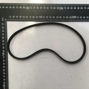 3WQ159 Belt