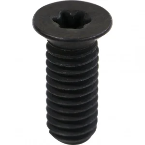 W616S Torx Screw